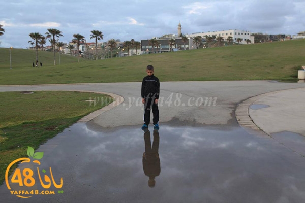 arain in yaffaj3 (9).jpg